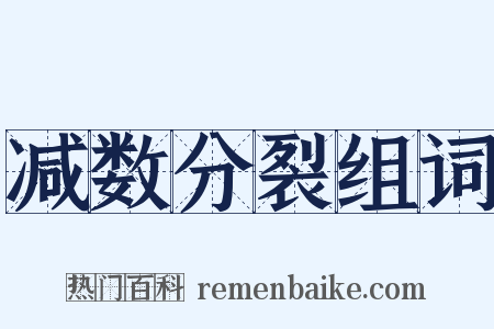 减数分裂组词是什么意思的图片